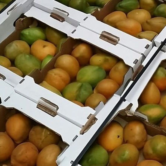 Bild von Frische Mangos - Kiste